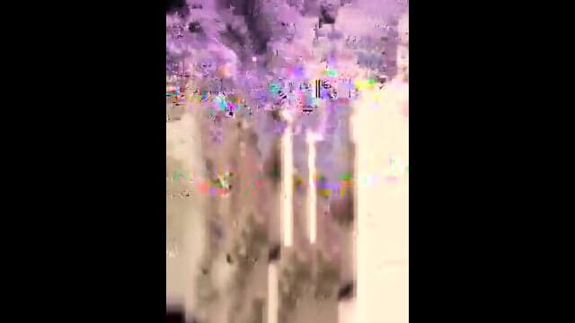 Horny birds Aug 22