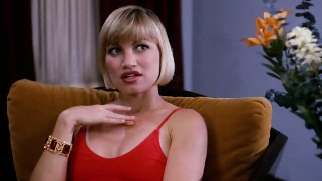 Undercover Heat (1995)