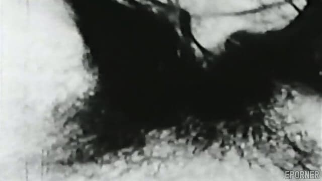 Hairy Pussy Licking And Banging