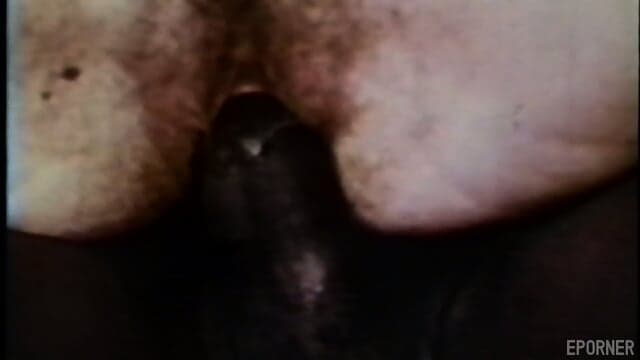 Black Cock In Hairy Twat