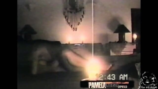 Pamela Anderson Brett Michaels Sex Tape