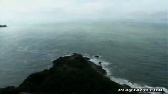 Perfect View