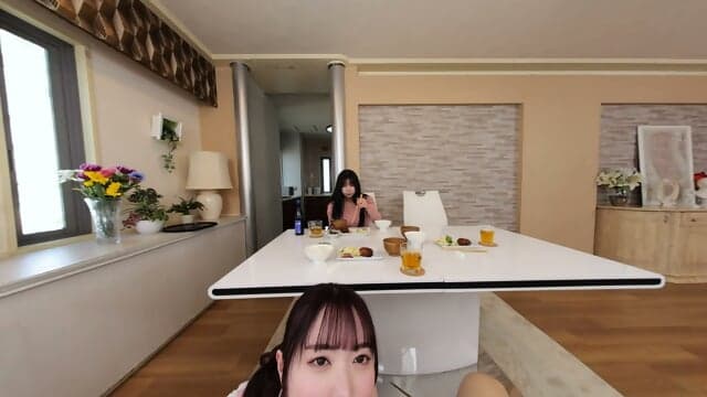 Test SAVR 1118 1 å°æ æ