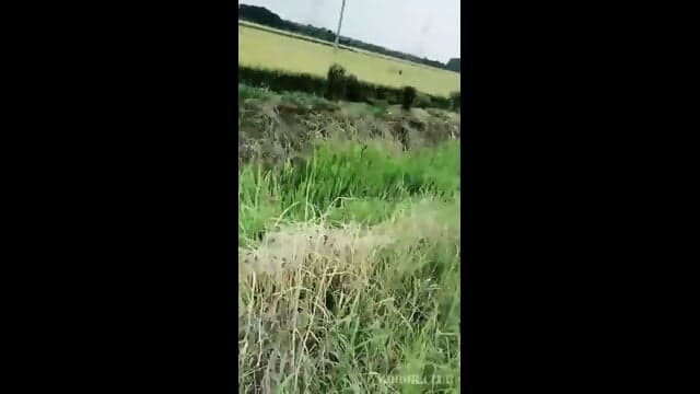 MILF Hooks Young Glasses Guy Field Sex
